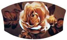 DNSWILL 071 Imperial Rose Bronze